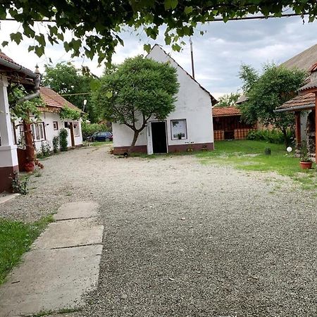 Отель Casa Mari Кырцишоара Экстерьер фото