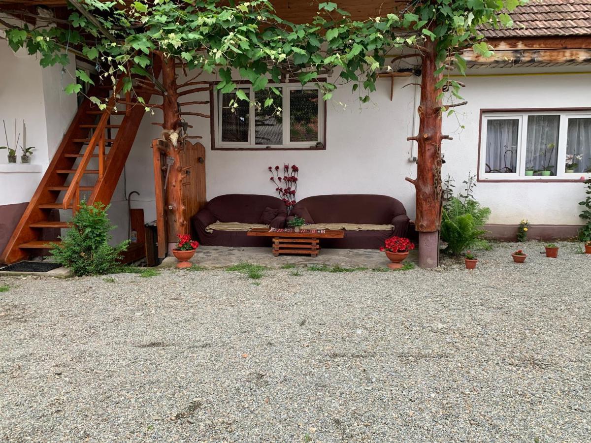 Отель Casa Mari Кырцишоара Экстерьер фото