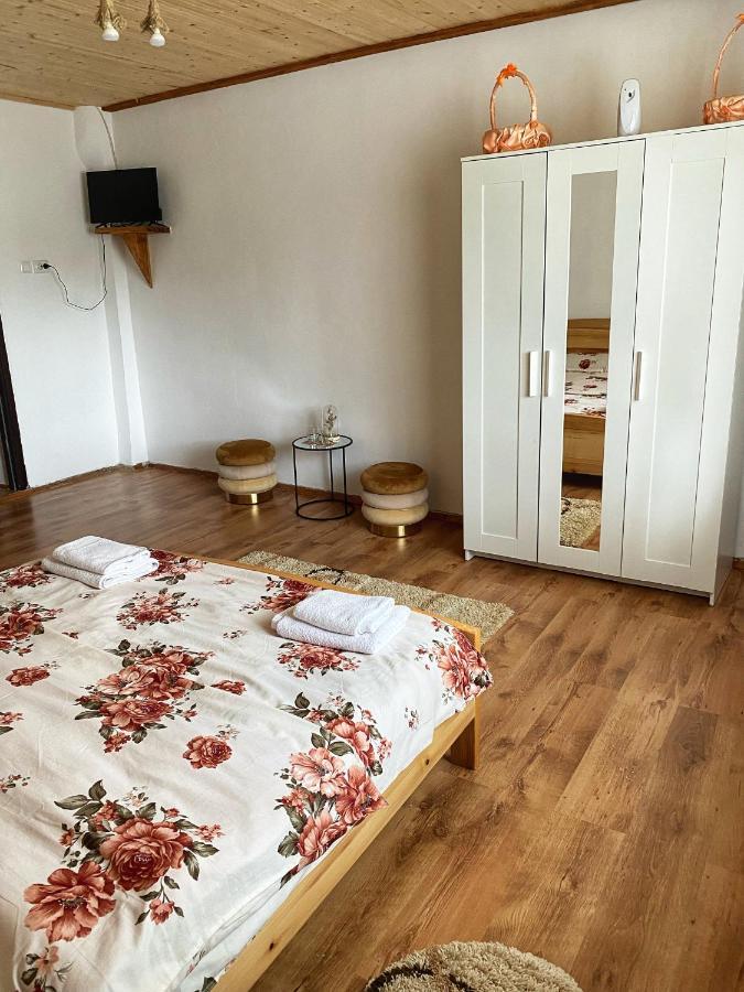 Отель Casa Mari Кырцишоара Экстерьер фото